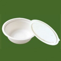 500ml disposable bowl